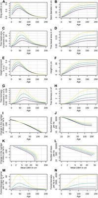 A Unifying Concept for Growth Trends of Trees and Forests – The “Potential Natural Forest”